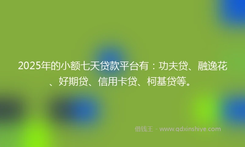 2025年的小额七天贷款平台有：功夫贷、融逸花、好期贷、信用卡贷、柯基贷等。