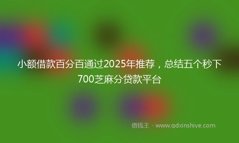 小额借款百分百通过2025年推荐，总结五个秒下700芝麻分贷款平台