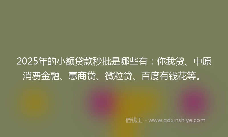 2025年的小额贷款秒批是哪些有：你我贷、中原消费金融、惠商贷、微粒贷、百度有钱花等。