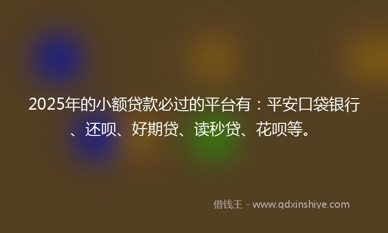 2025年的小额贷款必过的平台有：平安口袋银行、还呗、好期贷、读秒贷、花呗等。
