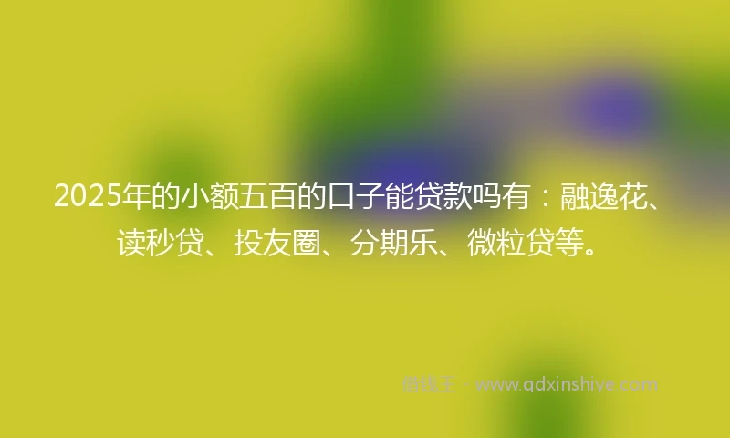 2025年的小额五百的口子能贷款吗有：融逸花、读秒贷、投友圈、分期乐、微粒贷等。