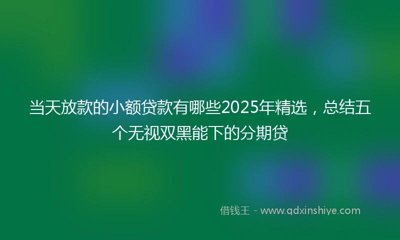 当天放款的小额贷款有哪些2025年精选，总结五个无视双黑能下的分期贷