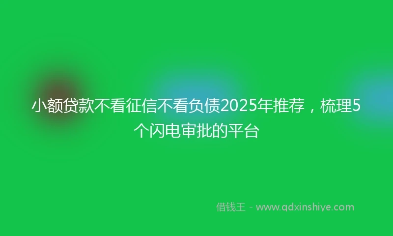 小额贷款不看征信不看负债2025年推荐，梳理5个闪电审批的平台