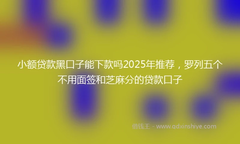 小额贷款黑口子能下款吗2025年推荐，罗列五个不用面签和芝麻分的贷款口子