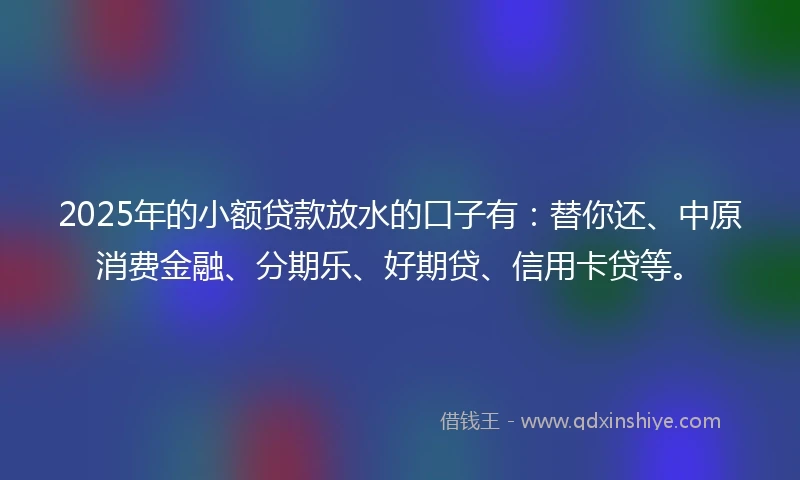 2025年的小额贷款放水的口子有：替你还、中原消费金融、分期乐、好期贷、信用卡贷等。