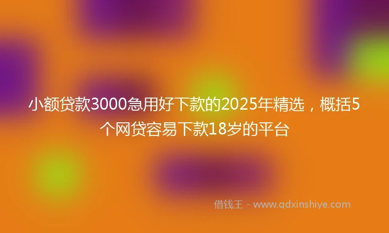 小额贷款3000急用好下款的2025年精选，概括5个网贷容易下款18岁的平台