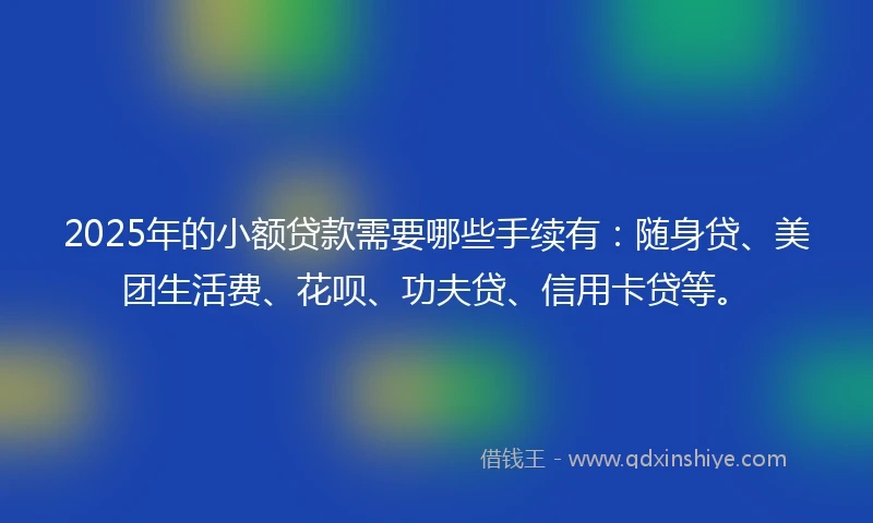 2025年的小额贷款需要哪些手续有：随身贷、美团生活费、花呗、功夫贷、信用卡贷等。