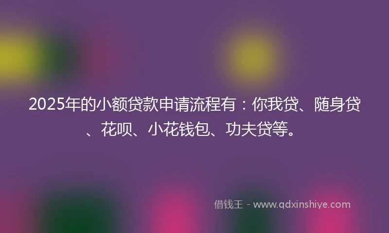 2025年的小额贷款申请流程有：你我贷、随身贷、花呗、小花钱包、功夫贷等。