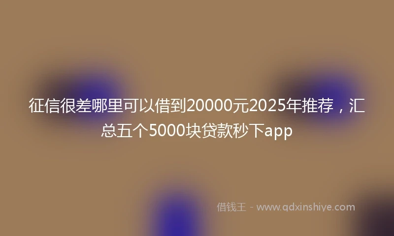 征信很差哪里可以借到20000元2025年推荐，汇总五个5000块贷款秒下app