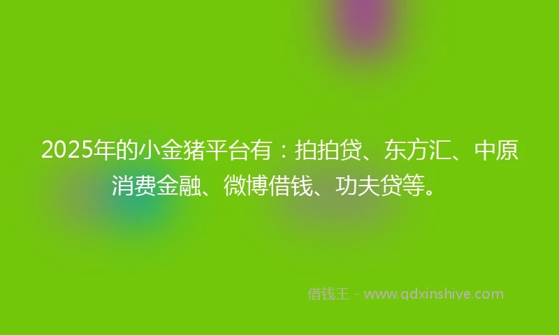 2025年的小金猪平台有：拍拍贷、东方汇、中原消费金融、微博借钱、功夫贷等。