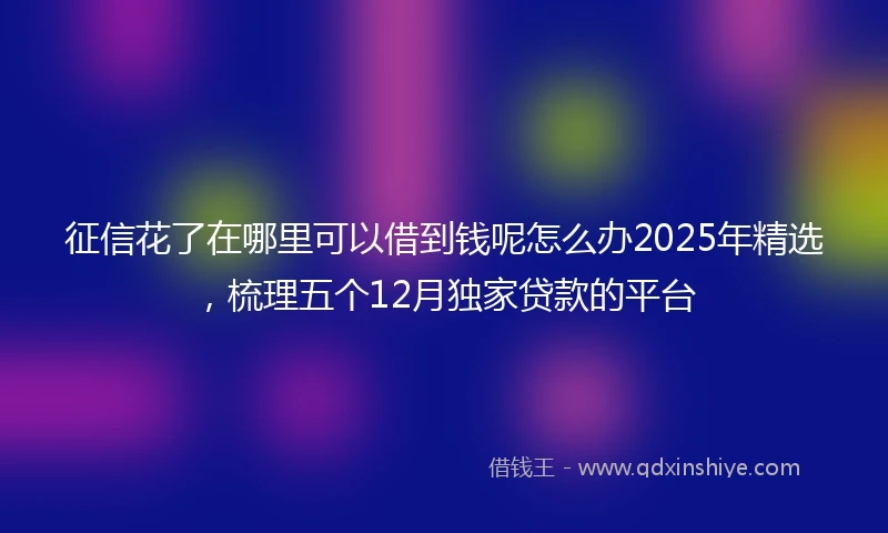 征信花了在哪里可以借到钱呢怎么办2025年精选,梳理五个12月独家贷款的平台