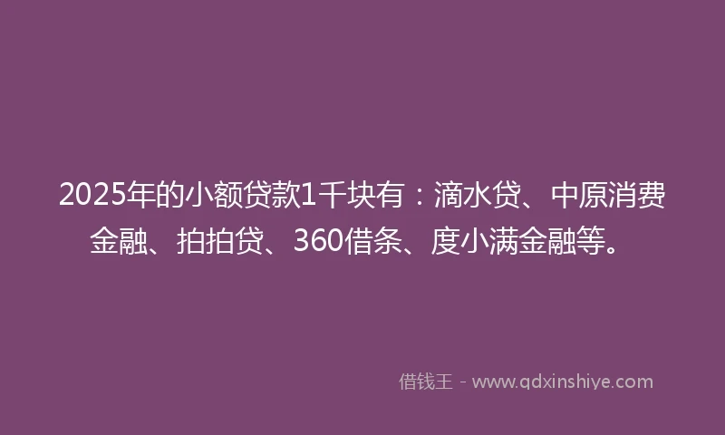 2025年的小额贷款1千块有：滴水贷、中原消费金融、拍拍贷、360借条、度小满金融等。
