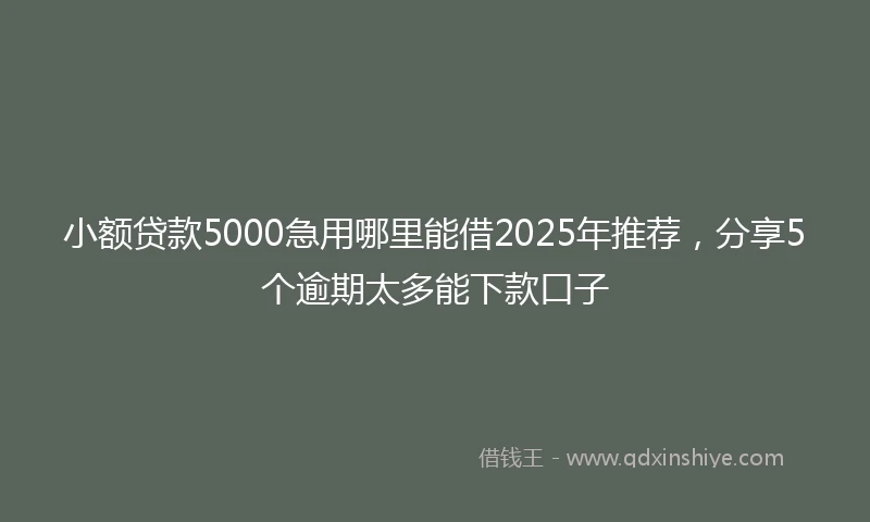 小额贷款5000急用哪里能借2025年推荐，分享5个逾期太多能下款口子