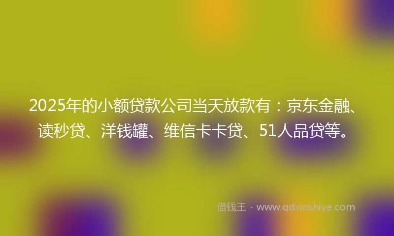 2025年的小额贷款公司当天放款有：京东金融、读秒贷、洋钱罐、维信卡卡贷、51人品贷等。