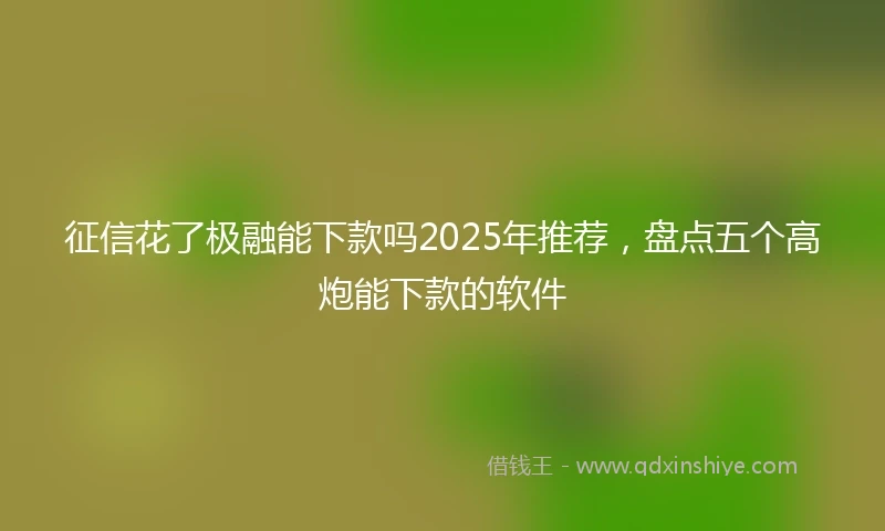 征信花了极融能下款吗2025年推荐，盘点五个高炮能下款的软件