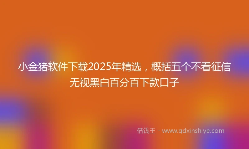 小金猪软件下载2025年精选，概括五个不看征信无视黑白百分百下款口子