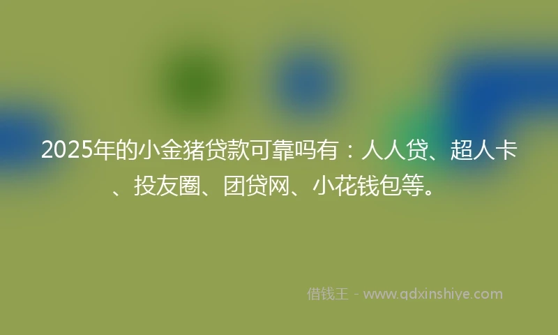 2025年的小金猪贷款可靠吗有：人人贷、超人卡、投友圈、团贷网、小花钱包等。