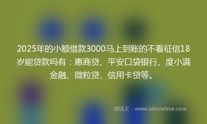 2025年的小额借款3000马上到账的不看征信18岁能贷款吗有：惠商贷、平安口袋银行、度小满金融、微粒贷、信用卡贷等。