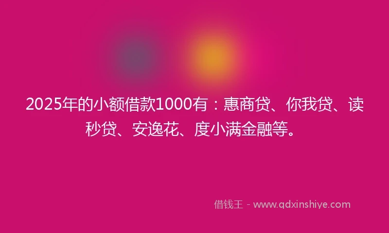 2025年的小额借款1000有：惠商贷、你我贷、读秒贷、安逸花、度小满金融等。