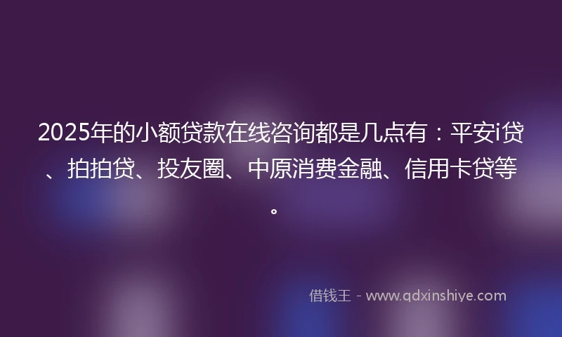 2025年的小额贷款在线咨询都是几点有：平安i贷、拍拍贷、投友圈、中原消费金融、信用卡贷等。