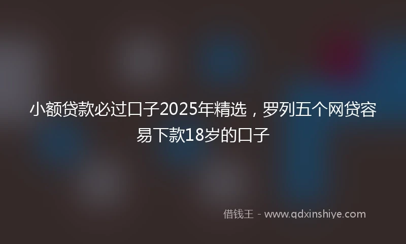 小额贷款必过口子2025年精选，罗列五个网贷容易下款18岁的口子