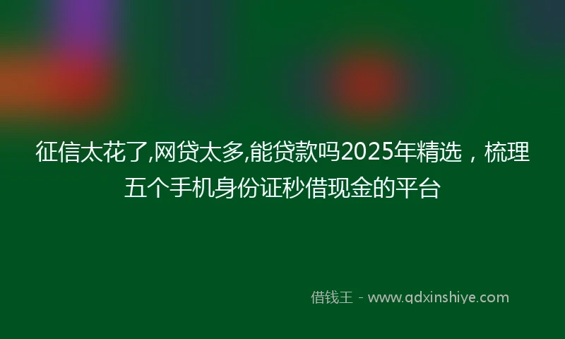 征信太花了,网贷太多,能贷款吗2025年精选，梳理五个手机身份证秒借现金的平台