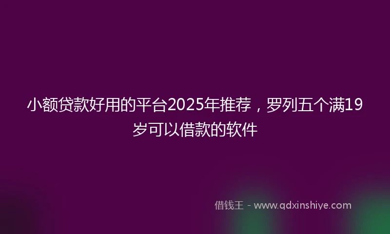 小额贷款好用的平台2025年推荐，罗列五个满19岁可以借款的软件