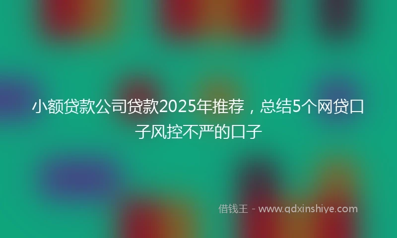 小额贷款公司贷款2025年推荐，总结5个网贷口子风控不严的口子