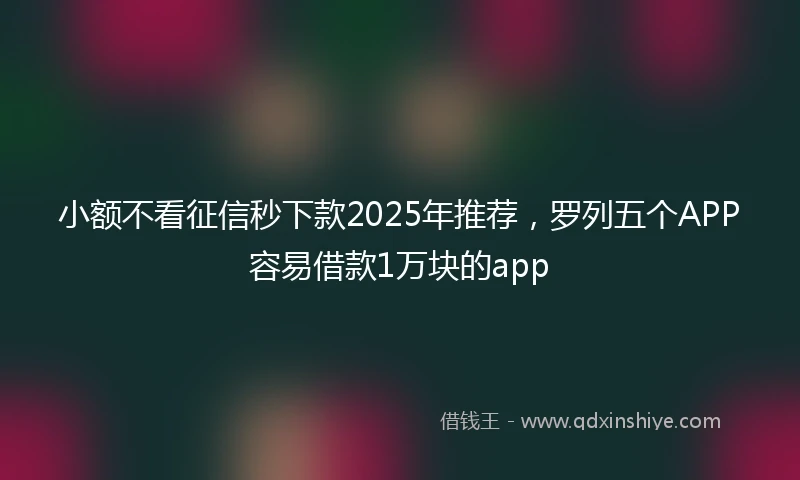 小额不看征信秒下款2025年推荐，罗列五个APP容易借款1万块的app