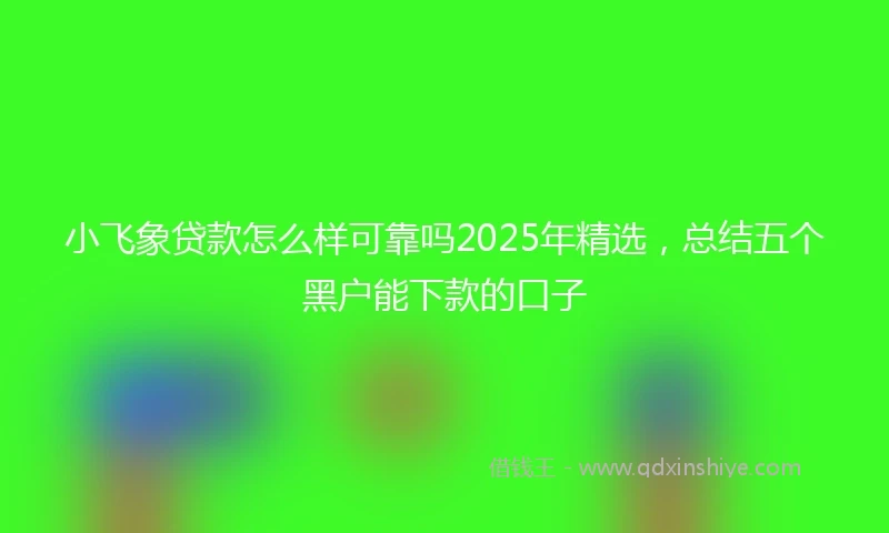 小飞象贷款怎么样可靠吗2025年精选，总结五个黑户能下款的口子