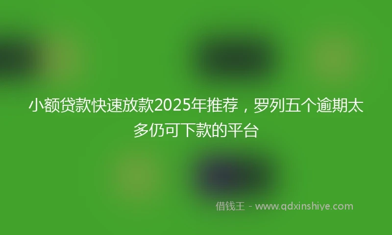小额贷款快速放款2025年推荐，罗列五个逾期太多仍可下款的平台