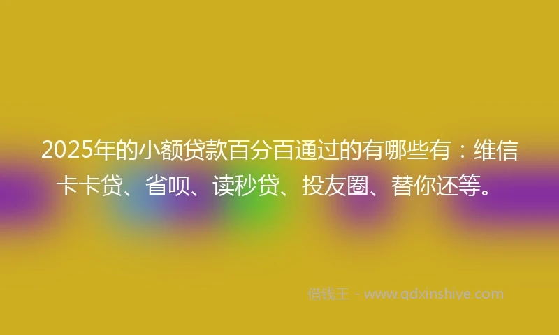 2025年的小额贷款百分百通过的有哪些有：维信卡卡贷、省呗、读秒贷、投友圈、替你还等。