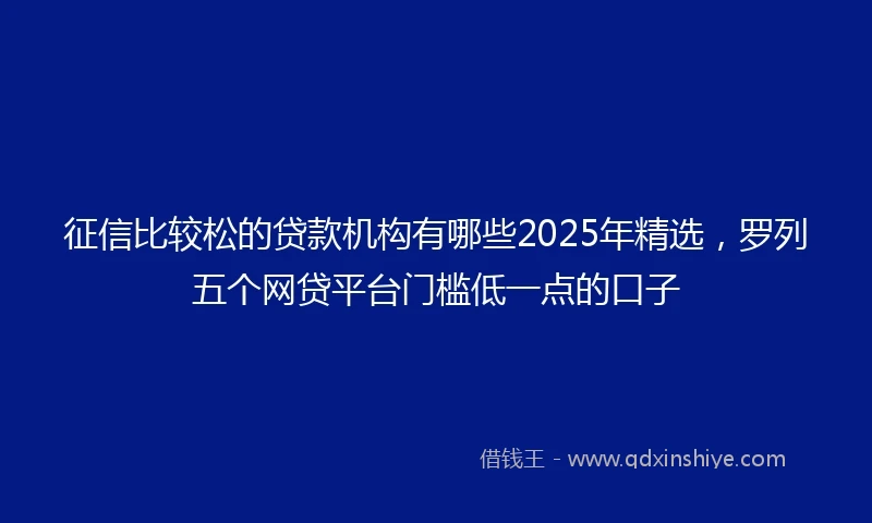 征信比较松的贷款机构有哪些2025年精选，罗列五个网贷平台门槛低一点的口子