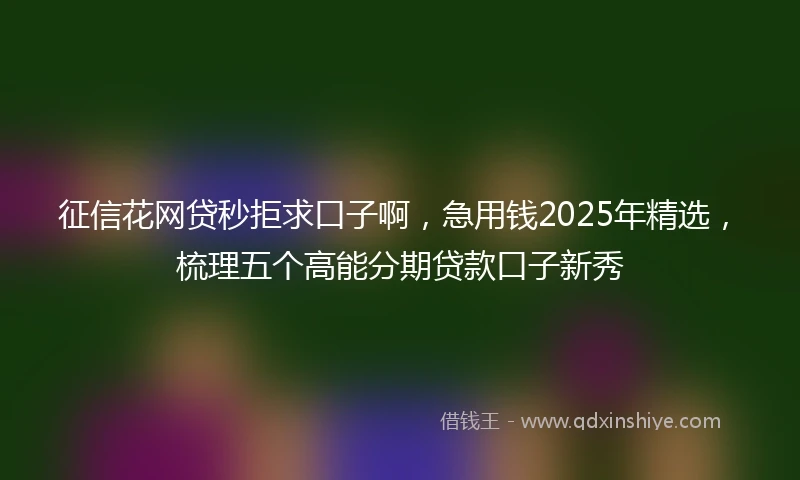 征信花网贷秒拒求口子啊，急用钱2025年精选，梳理五个高能分期贷款口子新秀