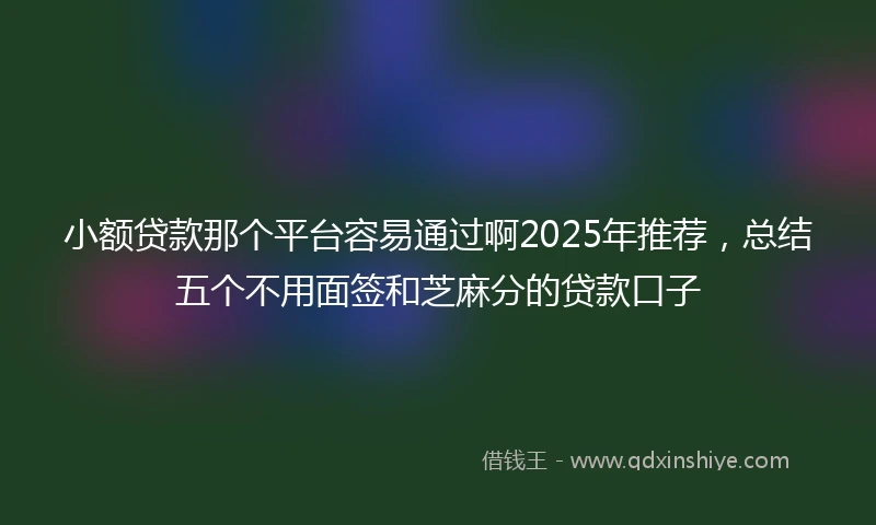 小额贷款那个平台容易通过啊2025年推荐，总结五个不用面签和芝麻分的贷款口子