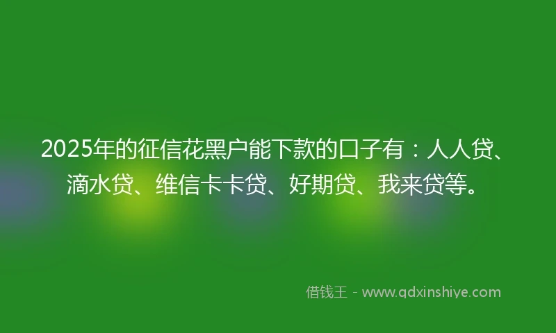 2025年的征信花黑户能下款的口子有：人人贷、滴水贷、维信卡卡贷、好期贷、我来贷等。