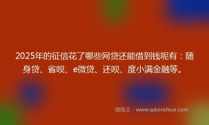 2025年的征信花了哪些网贷还能借到钱呢有：随身贷、省呗、e微贷、还呗、度小满金融等。