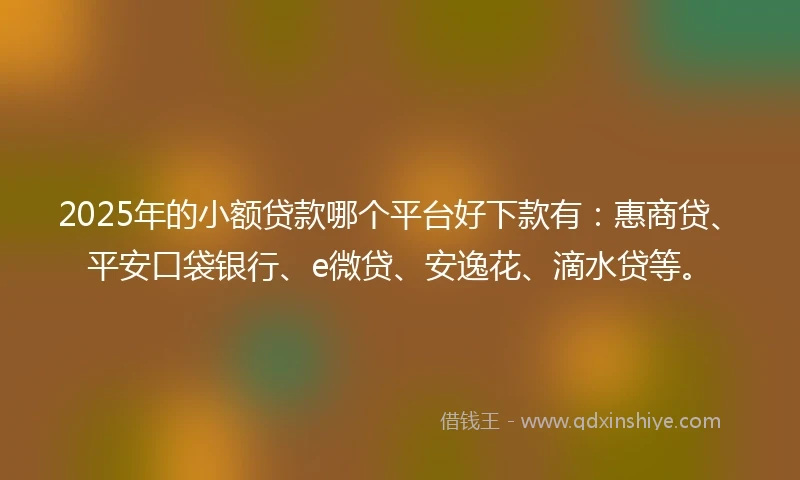 2025年的小额贷款哪个平台好下款有：惠商贷、平安口袋银行、e微贷、安逸花、滴水贷等。