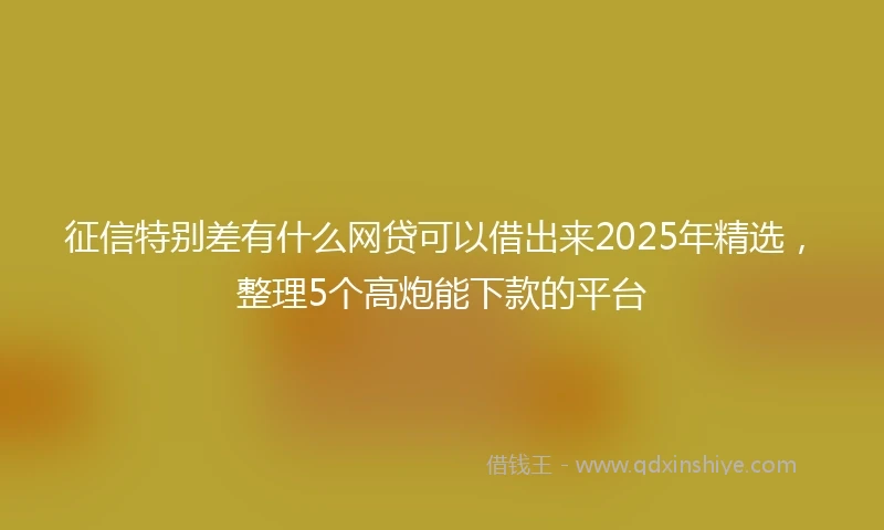 征信特别差有什么网贷可以借出来2025年精选，整理5个高炮能下款的平台