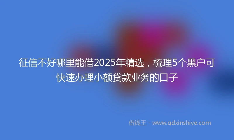征信不好哪里能借2025年精选，梳理5个黑户可快速办理小额贷款业务的口子