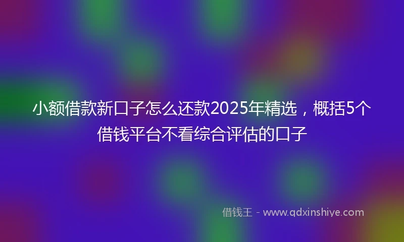 小额借款新口子怎么还款2025年精选，概括5个借钱平台不看综合评估的口子