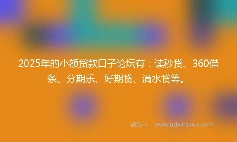 2025年的小额贷款口子论坛有：读秒贷、360借条、分期乐、好期贷、滴水贷等。