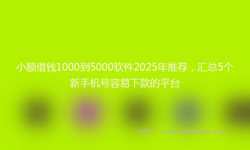 小额借钱1000到5000软件2025年推荐，汇总5个新手机号容易下款的平台