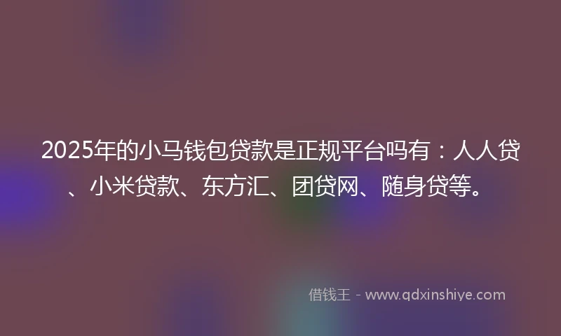 2025年的小马钱包贷款是正规平台吗有：人人贷、小米贷款、东方汇、团贷网、随身贷等。