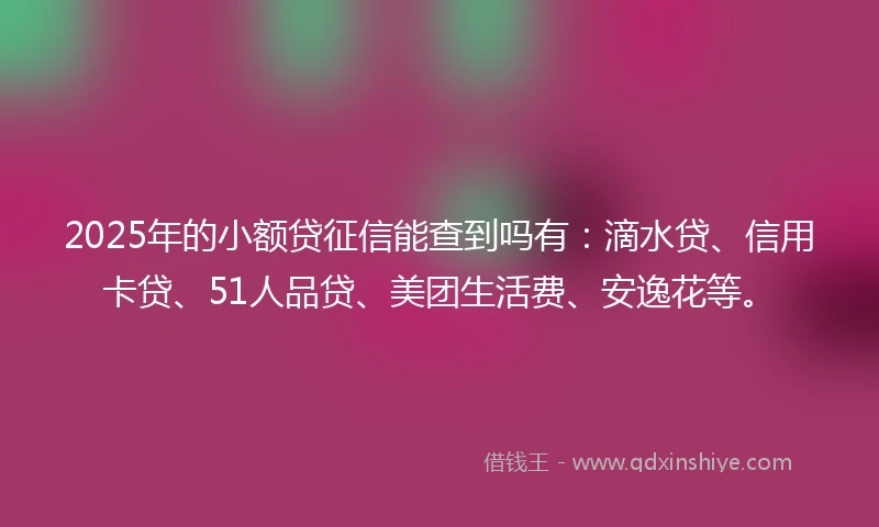 2025年的小额贷征信能查到吗有：滴水贷、信用卡贷、51人品贷、美团生活费、安逸花等。