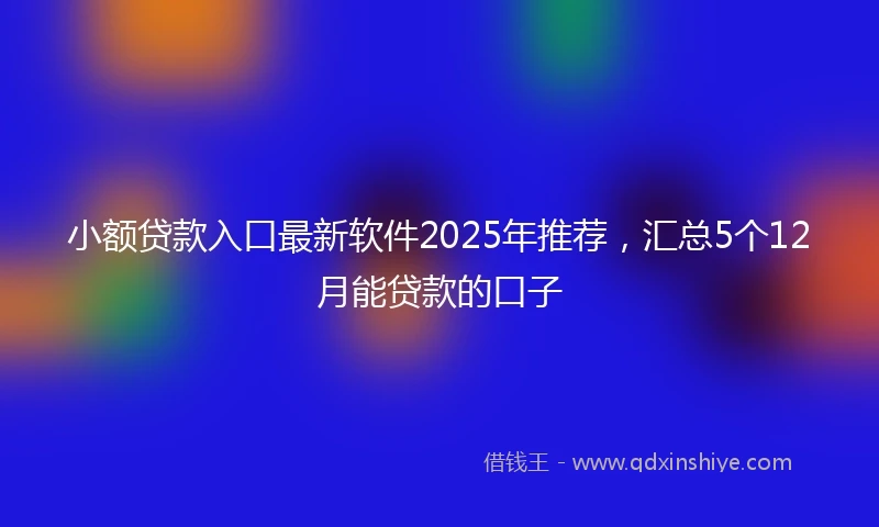 小额贷款入口最新软件2025年推荐，汇总5个12月能贷款的口子