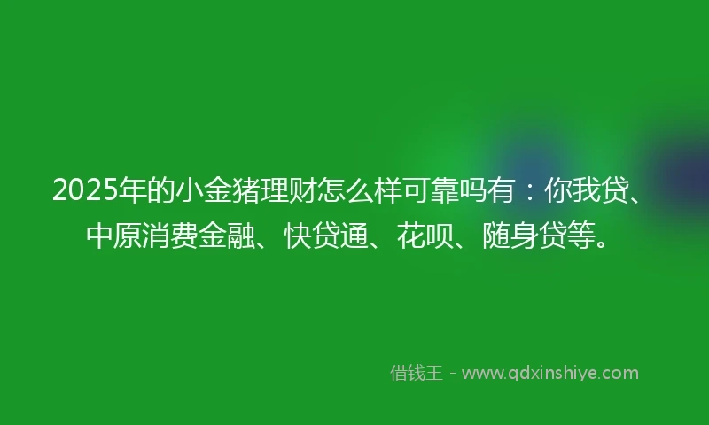 2025年的小金猪理财怎么样可靠吗有：你我贷、中原消费金融、快贷通、花呗、随身贷等。