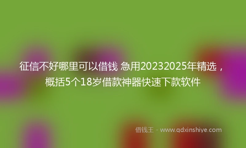 征信不好哪里可以借钱 急用20232025年精选，概括5个18岁借款神器快速下款软件