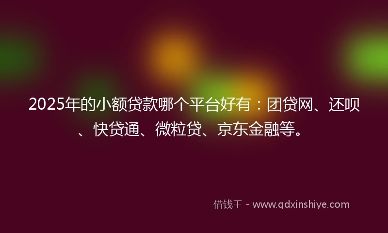 2025年的小额贷款哪个平台好有：团贷网、还呗、快贷通、微粒贷、京东金融等。