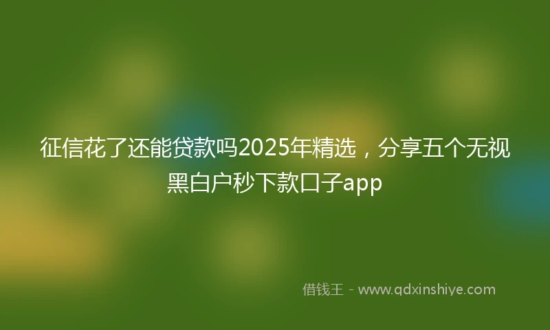 征信花了还能贷款吗2025年精选，分享五个无视黑白户秒下款口子app